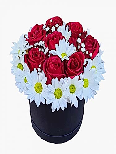 Kutuda Güller ve Papatyalar