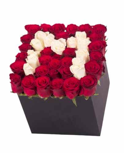 Kare Kutuda Baş Harf Tasarım