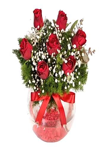 Fanusta 7 Kırmızı Gül