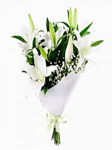 Beyaz Lilyumlar