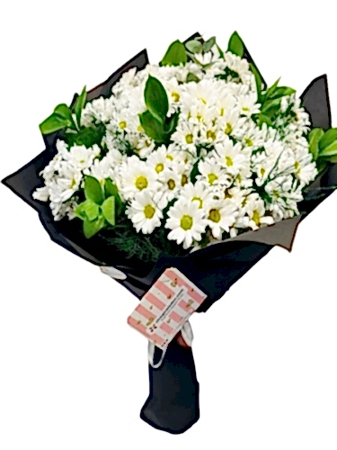 Kucak Dolusu Papatya