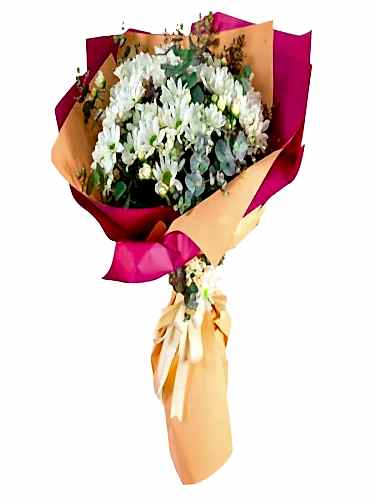 Beyaz Papatya Buketi